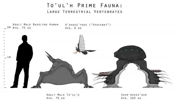 Groundfauna size comparison