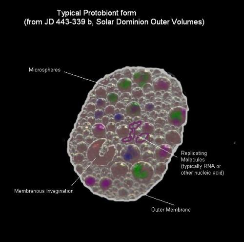 Protobiont